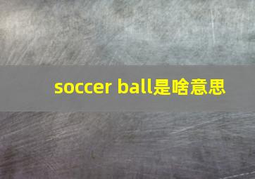 soccer ball是啥意思